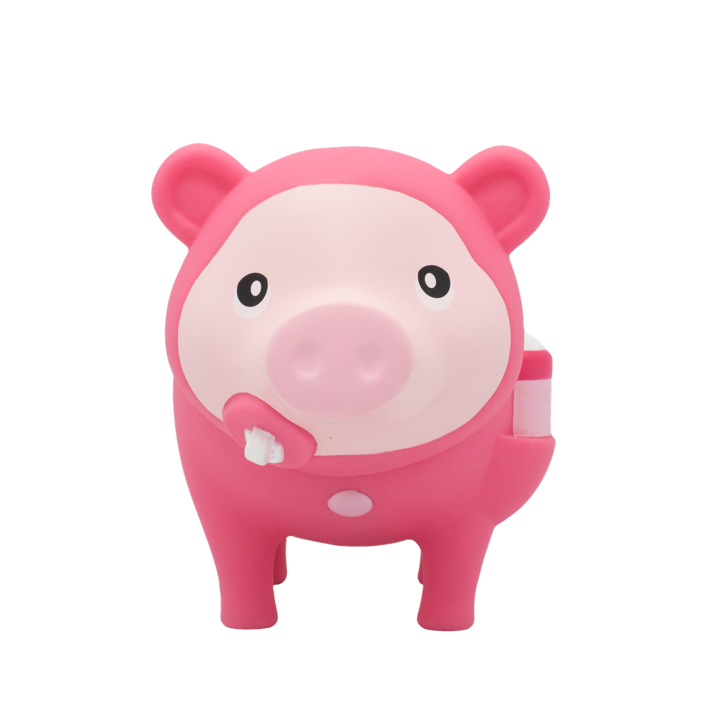 Biggys - Piggy Bank Bebé Niña