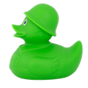 Pato soldado verde