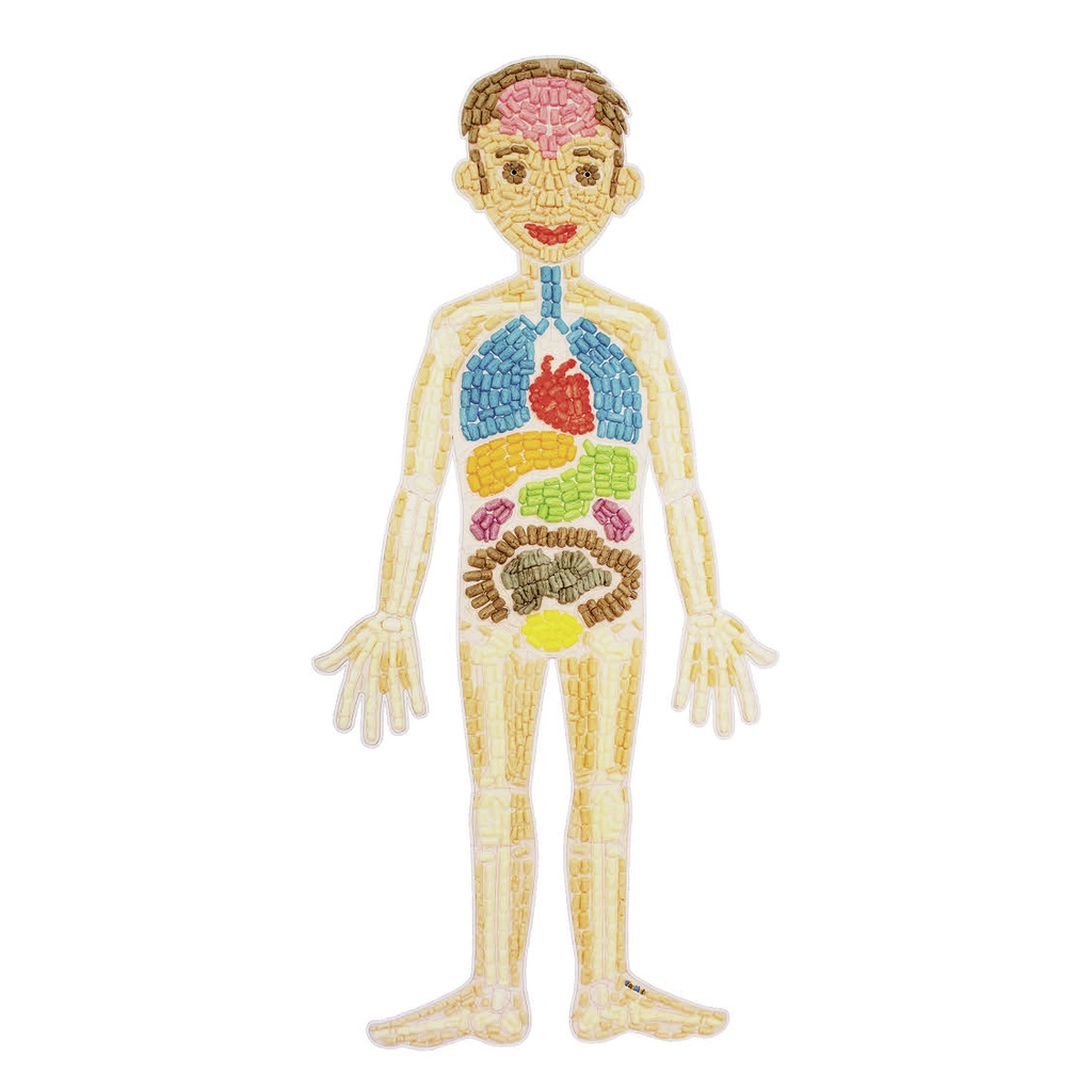 PlayMais® Classic Smart Kids : Tarjetas &quot;My body&quot;