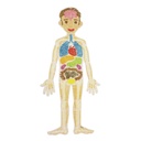 PlayMais® Classic Smart Kids : Tarjetas &quot;My body&quot;