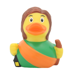 [LI2078] Pato San José